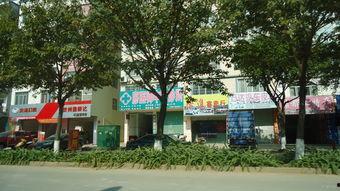 国产综合社区,打造多元化互动平台，引领网络文化新潮流