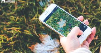 手机看片国产日韩