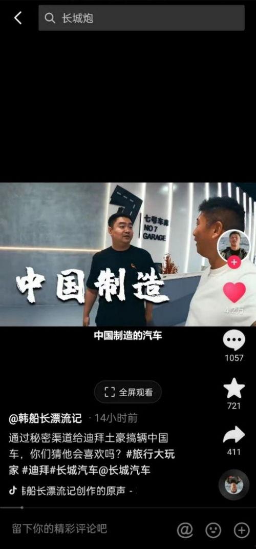 在线观看国产你懂的,在线观看，你懂的精彩瞬间