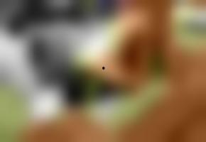 在线视频国产欧美,在线视频内容的风云变幻