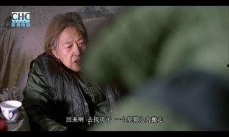 国产毛片在线现看,网络影视的灰色地带